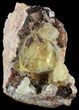 Lustrous, Yellow Cubic Fluorite Crystals - Morocco #44877-3